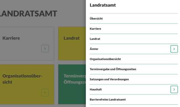 Ein Screenshot vom Menü Landratsamt der Internetseite.