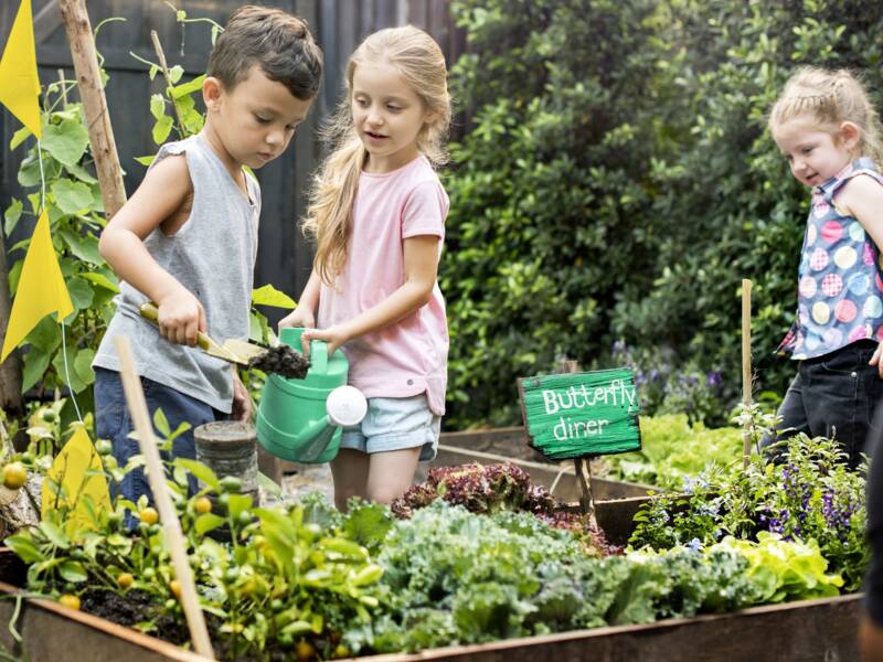 Ein kleiner Junge und ein Mädchen stehen an einem Beet in einem Gemüsegarten. Das Mädchen rechts hält eine Gießkanne in der Hand. Ganz rechts und ganz links stehen zwei weitere Kinder.