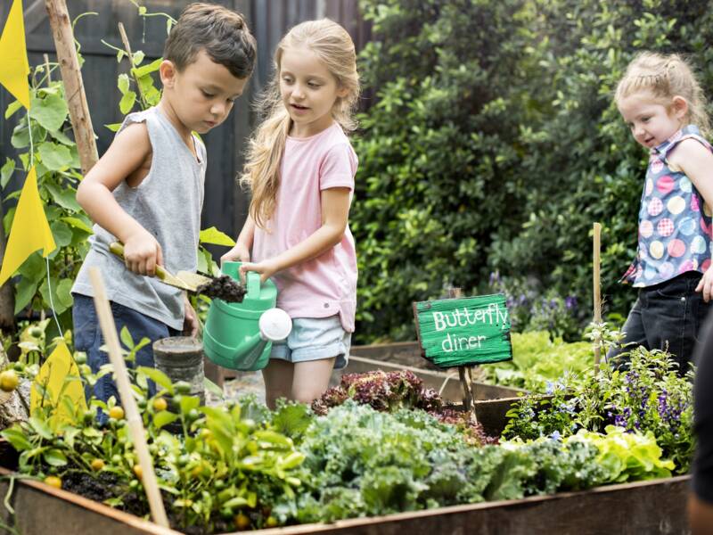 Ein kleiner Junge und ein Mädchen stehen an einem Beet in einem Gemüsegarten. Das Mädchen rechts hält eine Gießkanne in der Hand. Ganz rechts und ganz links stehen zwei weitere Kinder.