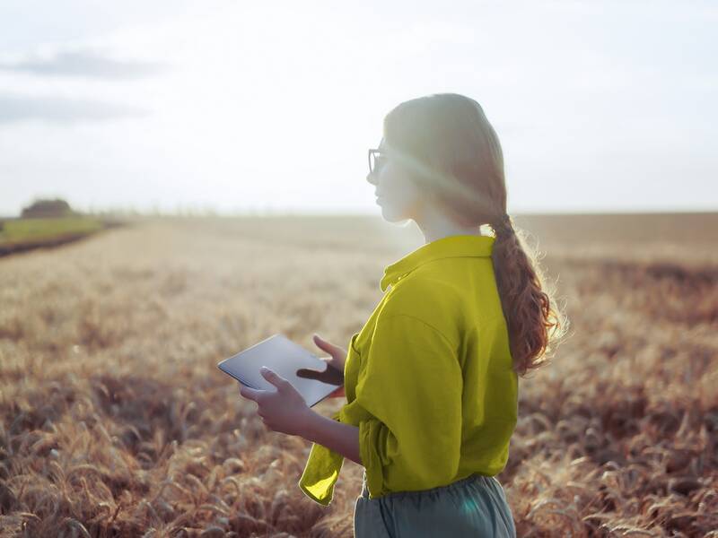 Eine junge Frau mit Zopf und Brille steht in einem Getreidefeld und hält ein Tablett in den Händen. Die Sonne scheint auf das Feld.