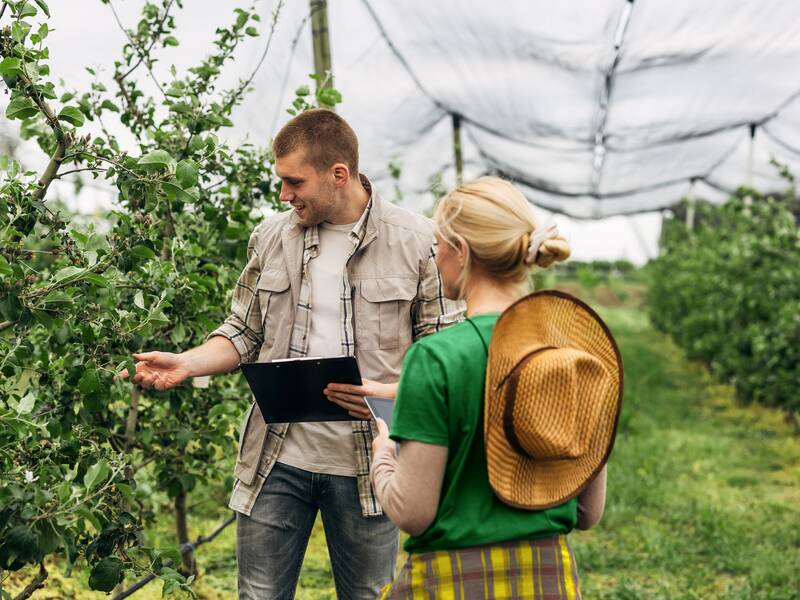 Ein junger Mann steht rechts neben einem Obst- oder Gemüsebaum und fasst mit der rechten Hand an ein Blatt. In der linken Hand hält er ein Klemmbrett. Rechts neben ihm stehe eine Frau mit einem Strohhut auf dem Rücken und hält ein Tablet. Im Hintergrund sind weitere Pflanzen.