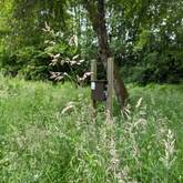 Eine grüne Wiese mit Bäume in Hintergrund. In der Wiese steht ein braunes Holzkästchen auf einem Pfahl.