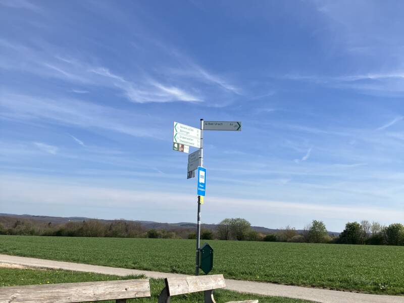 Ein Feldweg in einer grünen Landschaft.