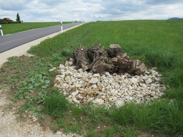 Auf einer Wiese, neben der links ein Weg verläuft, ist ein rundes Feld mit Steinen ausgelegt worden.