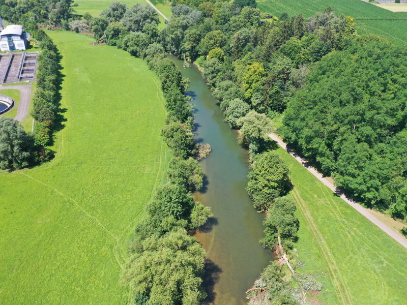 Ein Luftbild von einer grünen Wiese und vielen grünen Bäumen. In der Mitte ist ein Fluss, daneben eine Straße.