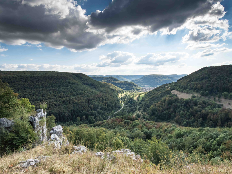 Eine grüne Berglandschaft. Es gibt Bäume und hinten sind Berge. Darüber ist der blaue Himmel mit Wolken.