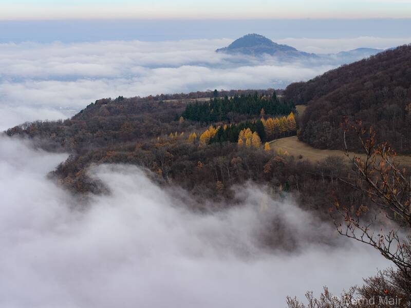 Ein Luftbild über einem Wald. Man sieht Neben und Im Hintergrund Berge.