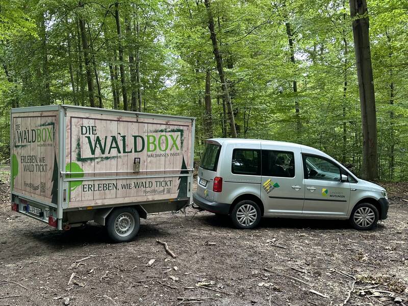 Ein graues Auto mit Anhänger steht in einem Wald. 