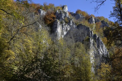 Eine mit grün bewachsenen Felswand.