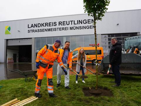 Vier Personen, davon zwei Mitarbeiter der Straßenmeisterei in orangefarbener Arbeitskleidung, Landrat Dr. Ulrich Fiedler und die Klimaschutzbeauftragte des Landkreises, pflanzen gemeinsam einen Baum vor einem Gebäude mit der Aufschrift "LANDKREIS REUTLINGEN STRASSENMEISTEREI MÜNSINGEN".