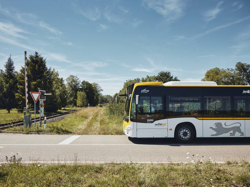 Ein schwarz-gelb-weißer Bus hält auf einer Straße vor einem Bahnübergang.