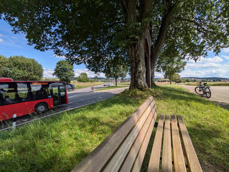 Eine Straße links mit einem Radweg rechts daneben. Auf der Straße fährt ein roter Linienbus, auf dem Feldweg steht ein Fahrrad. In der Mitte befindet sich ein Grünstreifen mit einem großen Baum und einer Sitzbank.