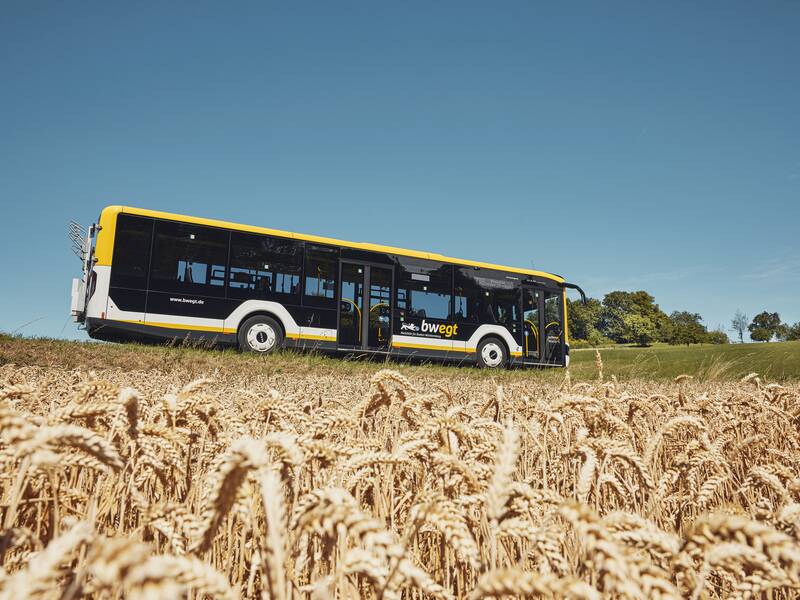 Ein schwarz-weißer Bus fährt auf einer Straße an einem Kornfeld vorbei.