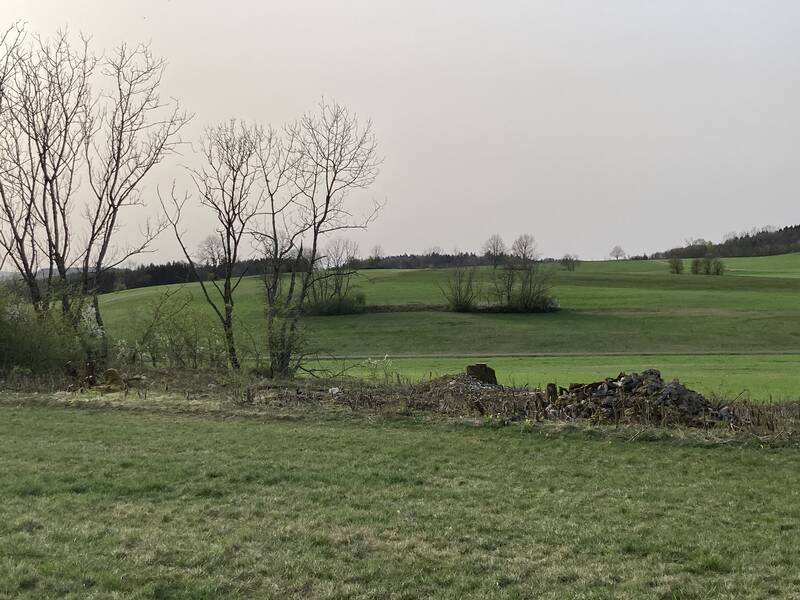 Landschaft mit Feldern, die von Hecken mit Sträuchern und Gehölz unterteilt werden