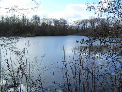 Ein zugefrorener See ist von kahlen Bäumen und winterlicher Vegetation umgeben, während der Himmel mit ein paar Wolken bedeckt ist.